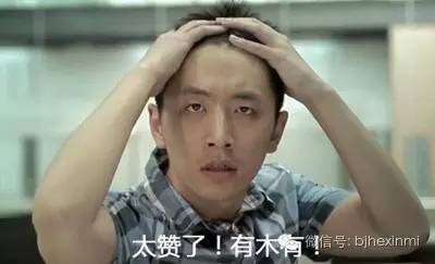 中嘉和信 中嘉和信